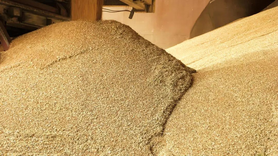 RigelSLAM大中型料堆體積測(cè)量