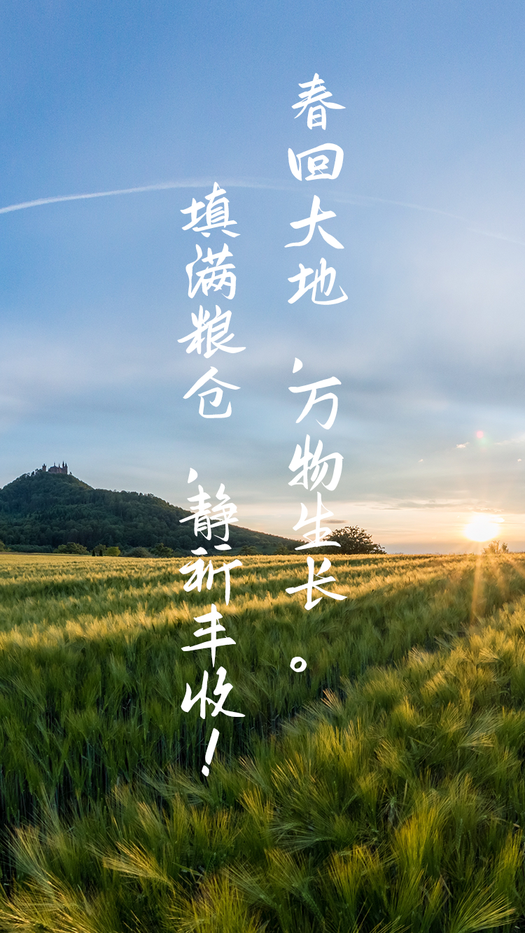 RigelSLAM大中型料堆體積測(cè)量